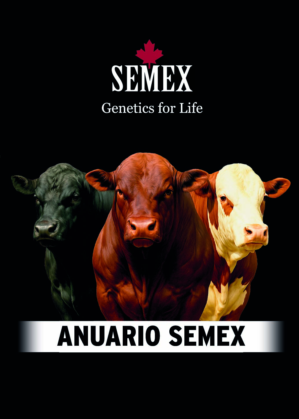 ANUARIO SEMEX